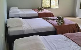 Cabinas Corcovado Green Parrot, Los Planes Drake